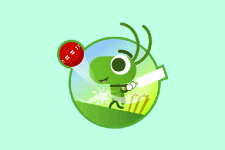 Doodle Cricket Game